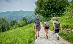 Un gruppo di amici fa delle **passeggiate in montagna vicino a Milano**, godendosi il verde lussureggiante e le colline ondulate.