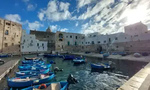 Porto con barche blu e case bianche, un'idea di cosa vedere a Bari in 3 giorni.