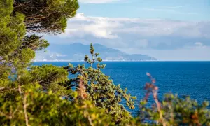 Verdeggiante vegetazione mediterranea incornicia un mare blu intenso, con una sagoma montuosa all'orizzonte, forse un'isola vicino all'Elba.