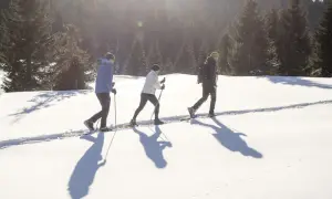 Tre persone camminano con le ciaspole su un sentiero innevato, godendosi le loro esperienze sulla neve in un bosco di abeti.