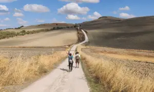 Due pellegrini camminano lungo la Via Francigena, immersi in un paesaggio collinare toscano sotto un cielo azzurro con nuvole bianche.