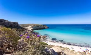 Vista mozzafiato di spiagge belle Sicilia, con acque cristalline, rocce e fiori viola in primo piano.