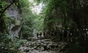 Un gruppo di escursionisti con caschi gialli attraversa un suggestivo canyon in Italia, tra rocce e vegetazione lussureggiante.