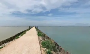Sentiero sterrato lungo la ciclabile del Delta del Po, con acqua calma e cielo nuvoloso.