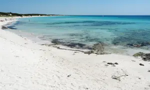 Spiagge Puglia Salento: sabbia bianca finissima, mare cristallino turchese e un velista all'orizzonte. Un paradiso naturale.