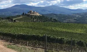 Un borgo fortificato domina le dolci colline toscane, circondato da vigneti rigogliosi. Le vie del Chianti offrono panorami mozzafiato.