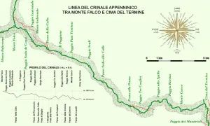 Mappa del crinale appenninico tra Monte Falco e Cima del Termine, con profilo altimetrico e rosa dei venti.