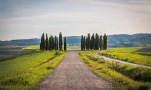 Strada sterrata tra colline verdi e cipressi, un invito a scoprire cosa visitare in Toscana in 1 giorno.