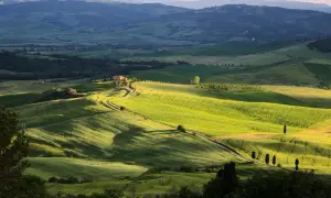 Dolci colline verdi illuminate dal sole, con una strada tortuosa che porta a una casa colonica. Un paesaggio iconico da scoprire: cosa vedere in Val d'Orcia.