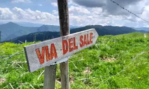Cartello in legno indica il **via del sale cammino**. Panorami montani verdi e cielo azzurro con nuvole bianche.