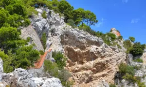Scogliera rocciosa con una scalinata in mattoni che sale verso la cima, dove si intravede un rudere. Si immagina il **salto di Tiberio**.
