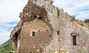 Antiche domus de janas scavate nella roccia, con finestre e mura in pietra, circondate da vegetazione e fiori gialli.