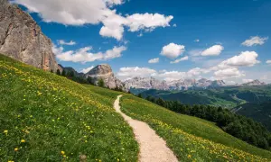Sentiero tortuoso su un prato fiorito, ideale per passeggiate in montagna con maestose vette sullo sfondo.