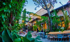 Un cortile rigoglioso ospita aperitivi milanesi particolari. Tavoli all'aperto, luci soffuse e vegetazione creano un'atmosfera magica.