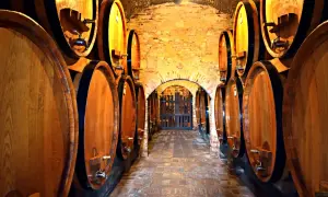Cantina con botti di legno, ideale per una degustazione vini toscana. L'atmosfera è calda e invitante.