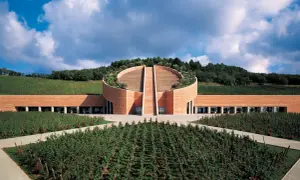 Cantine toscana famose: un edificio moderno in mattoni rossi, circondato da vigneti rigogliosi e alberi, con una scalinata semicircolare che sale verso il cielo.