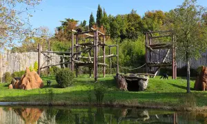 Gorilla in un'area giochi in legno, parte dello zoo più grande d'Italia. Riflessi sull'acqua.
