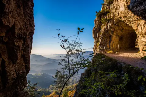 Sentiero roccioso con vista panoramica sulle colline del Veneto. Un ramo spoglio si staglia contro il cielo azzurro, invitando a esplorare le passeggiate in Veneto.