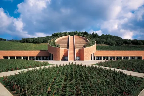 Cantine toscana famose: un edificio moderno in mattoni rossi, circondato da vigneti rigogliosi e alberi, con una scalinata semicircolare che sale verso il cielo.