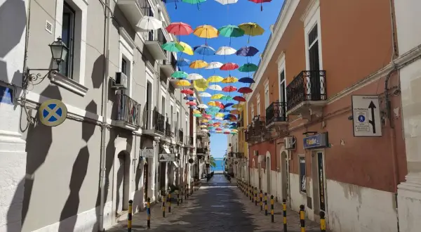 Un vicolo colorato da ombrelli sospesi, un'installazione artistica che rende unica la passeggiata. Ecco cosa vedere a Manfredonia, un'esperienza visiva indimenticabile.
