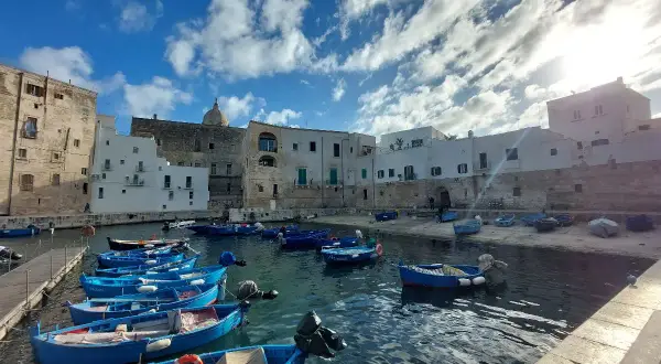 Porto con barche blu e case bianche, un'idea di cosa vedere a Bari in 3 giorni.