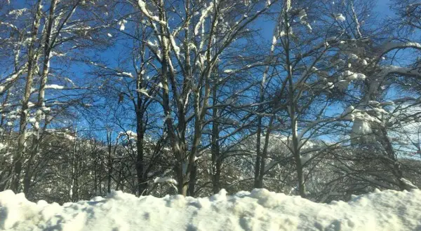 Alberi spogli coperti di neve contro un cielo azzurro limpido. Una perfetta gita fuori porta Roma inverno, con un paesaggio innevato da cartolina.