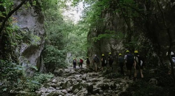 Un gruppo di escursionisti con caschi gialli attraversa un suggestivo canyon in Italia, tra rocce e vegetazione lussureggiante.