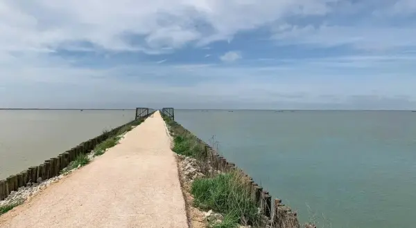 Sentiero sterrato lungo la ciclabile del Delta del Po, con acqua calma e cielo nuvoloso.