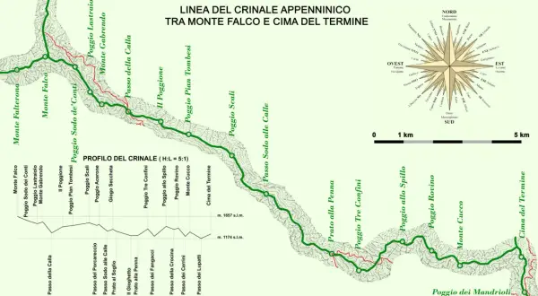 Mappa del crinale appenninico tra Monte Falco e Cima del Termine, con profilo altimetrico e rosa dei venti.