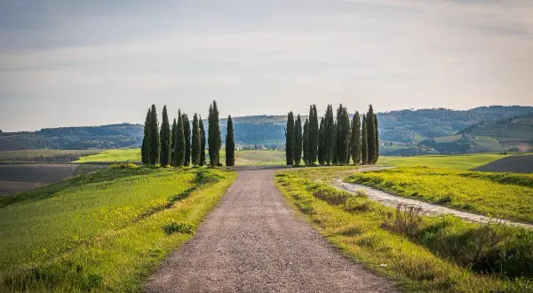 Strada sterrata tra colline verdi e cipressi, un invito a scoprire cosa visitare in Toscana in 1 giorno.