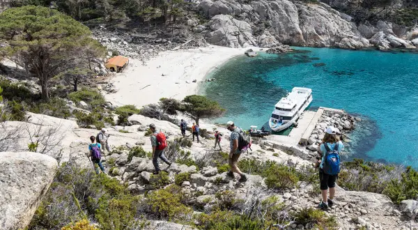 Escursionisti esplorano i sentieri rocciosi dell'isola di Montecristo, con una spiaggia bianca e acque turchesi. Una nave attende al molo.