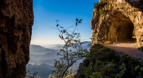 Sentiero roccioso con vista panoramica sulle colline del Veneto. Un ramo spoglio si staglia contro il cielo azzurro, invitando a esplorare le passeggiate in Veneto.