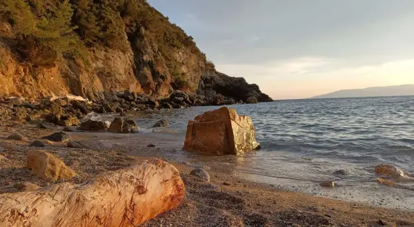 Spiaggia di Cala del Gesso al tramonto, con scogli dorati e un tronco sulla riva.