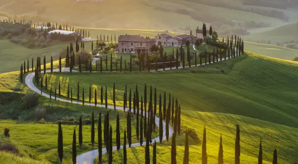 Un sogno di tour toscana 3 giorni: colline verdi, cipressi iconici e un casale al tramonto.