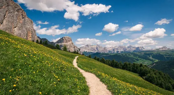 Sentiero tortuoso su un prato fiorito, ideale per passeggiate in montagna con maestose vette sullo sfondo.
