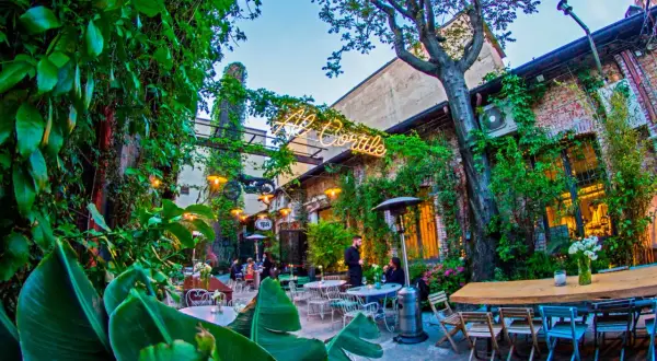 Un cortile rigoglioso ospita aperitivi milanesi particolari. Tavoli all'aperto, luci soffuse e vegetazione creano un'atmosfera magica.