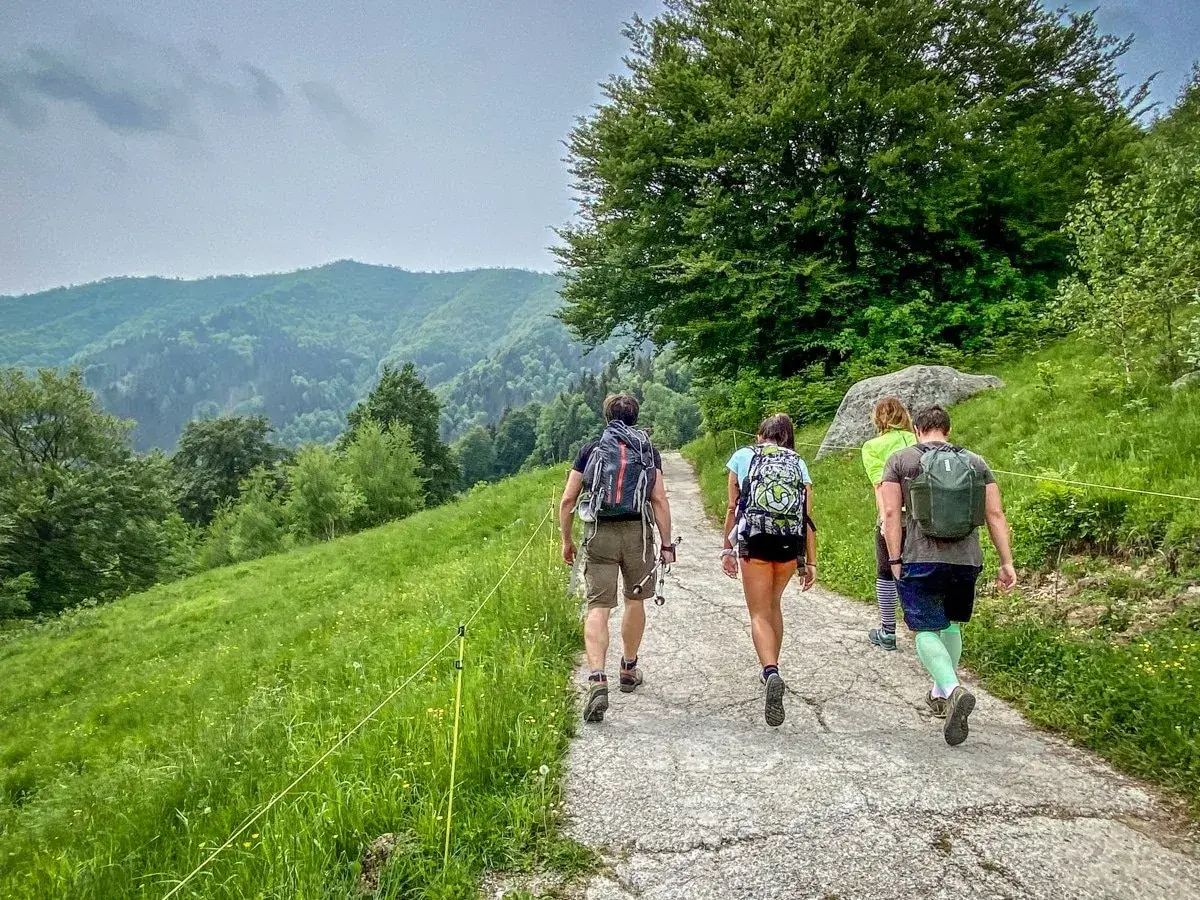 Un gruppo di amici fa delle **passeggiate in montagna vicino a Milano**, godendosi il verde lussureggiante e le colline ondulate.