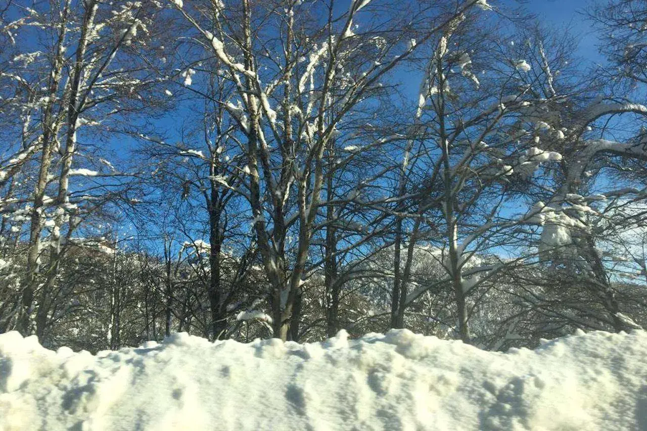 Alberi spogli coperti di neve contro un cielo azzurro limpido. Una perfetta gita fuori porta Roma inverno, con un paesaggio innevato da cartolina.