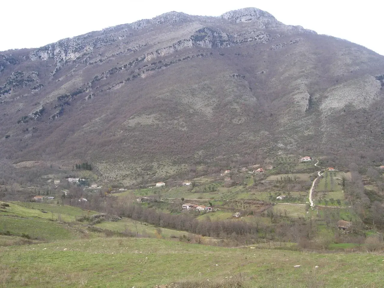 Un paesaggio collinare dove il Cilento mostra case sparse tra alberi spogli e prati verdi, sotto un imponente monte roccioso.