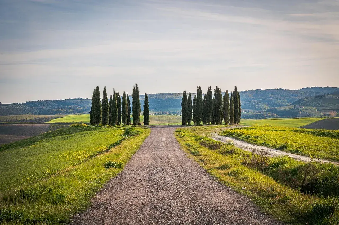 Strada sterrata tra colline verdi e cipressi, un invito a scoprire cosa visitare in Toscana in 1 giorno.