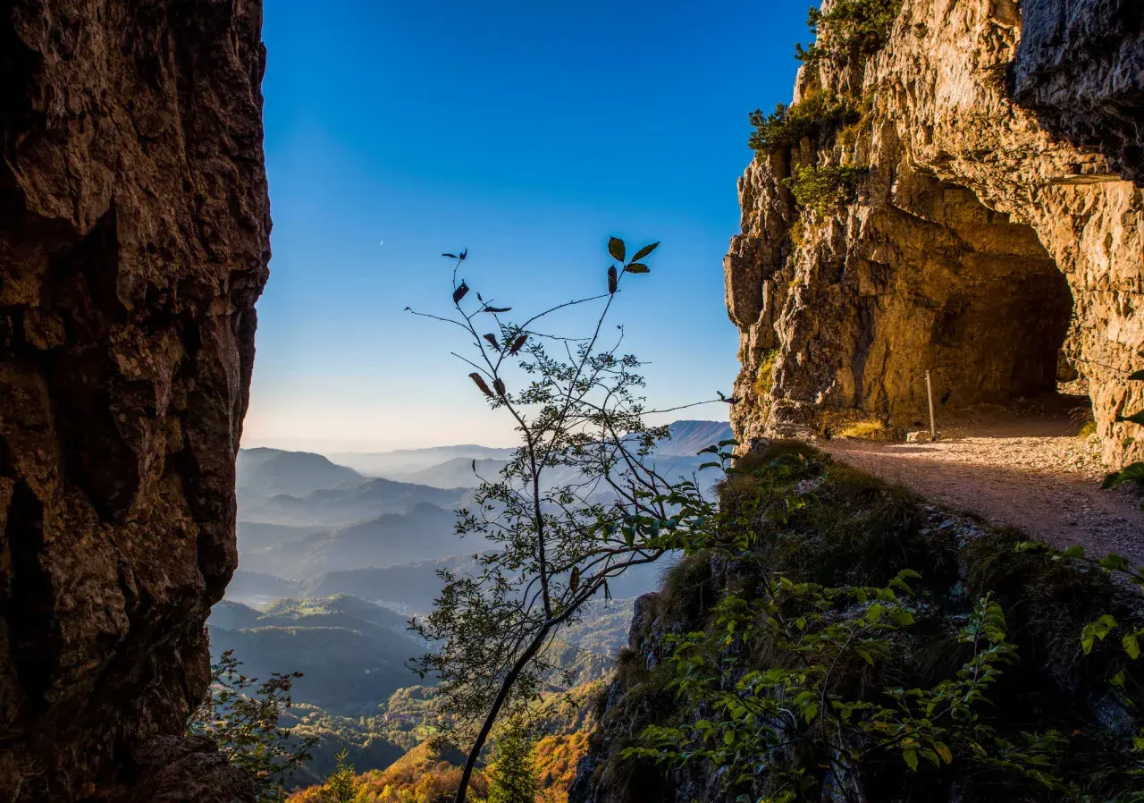 Sentiero roccioso con vista panoramica sulle colline del Veneto. Un ramo spoglio si staglia contro il cielo azzurro, invitando a esplorare le passeggiate in Veneto.