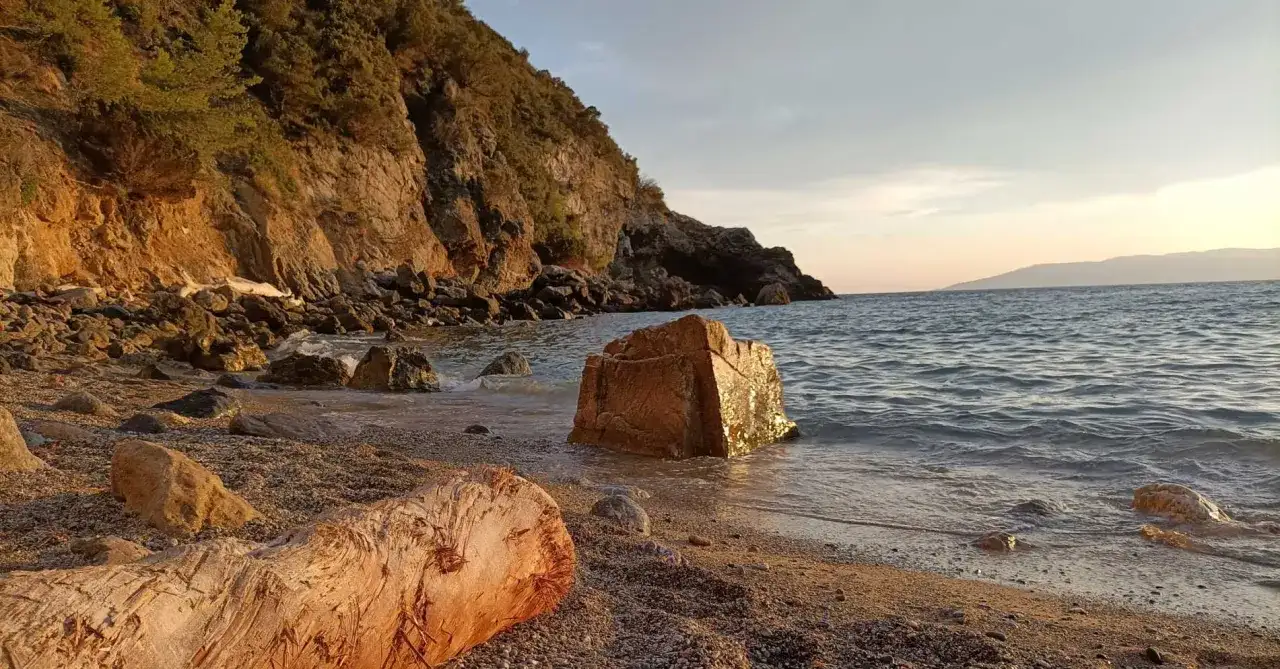 Spiaggia di Cala del Gesso al tramonto, con scogli dorati e un tronco sulla riva.