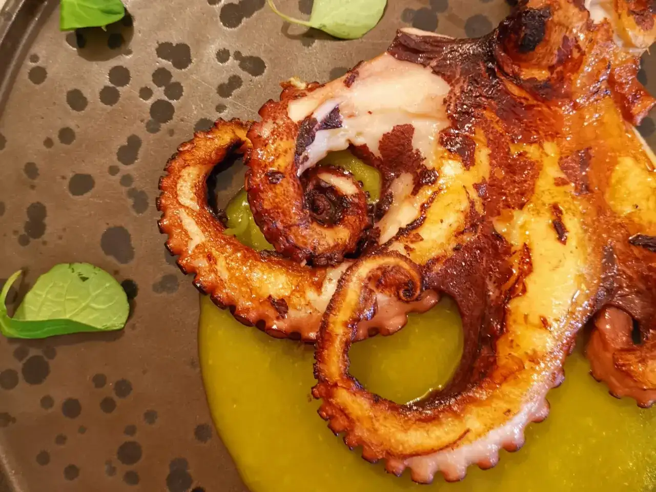 Tentacoli di polpo grigliato su crema verde, un'ottima idea su cosa mangiare ad Agrigento per un'esperienza culinaria indimenticabile.