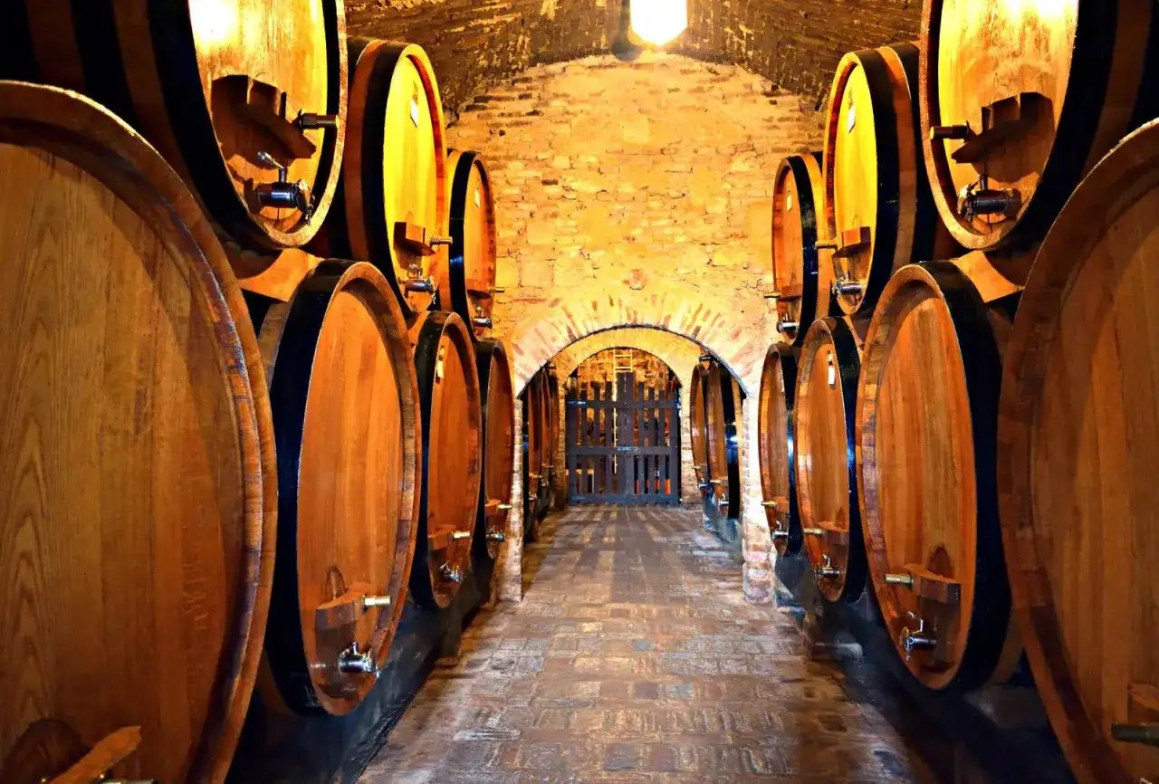 Cantina con botti di legno, ideale per una degustazione vini toscana. L'atmosfera è calda e invitante.