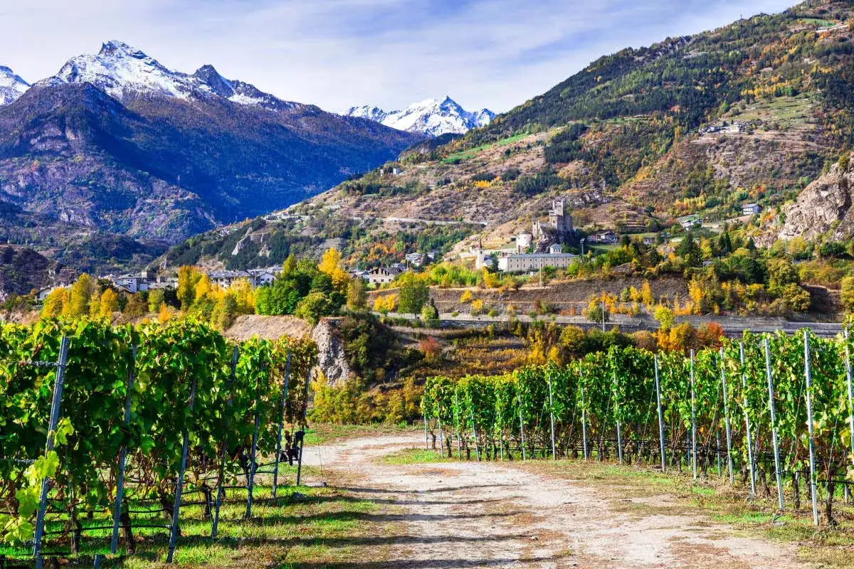 Vigneti rigogliosi e borghi pittoreschi incastonati tra le montagne innevate della Valle d'Aosta, in un tripudio di colori autunnali.