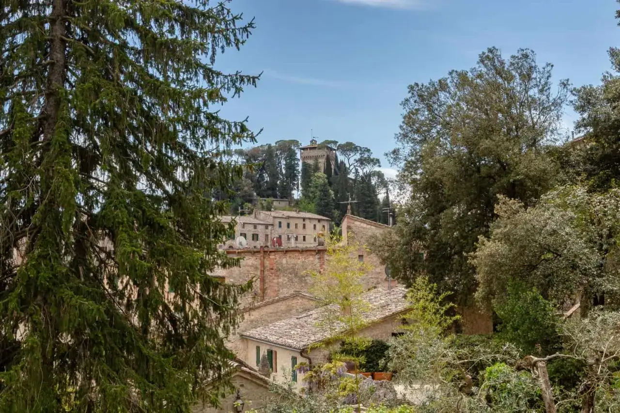 Panoramica di Cetona, con il suo castello in cima alla collina, circondato da alberi e case in pietra.