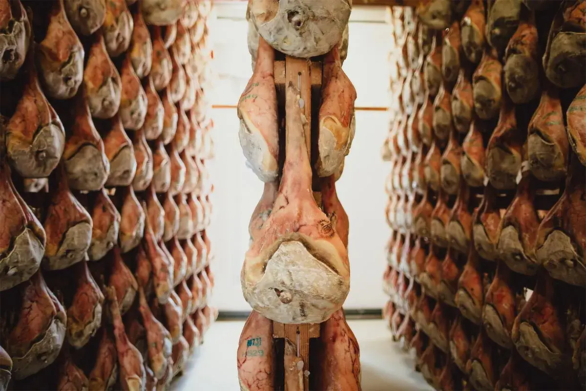 Prosciutti appesi in stagionatura, un'immagine che evoca i sapori autentici di San Daniele del Friuli.