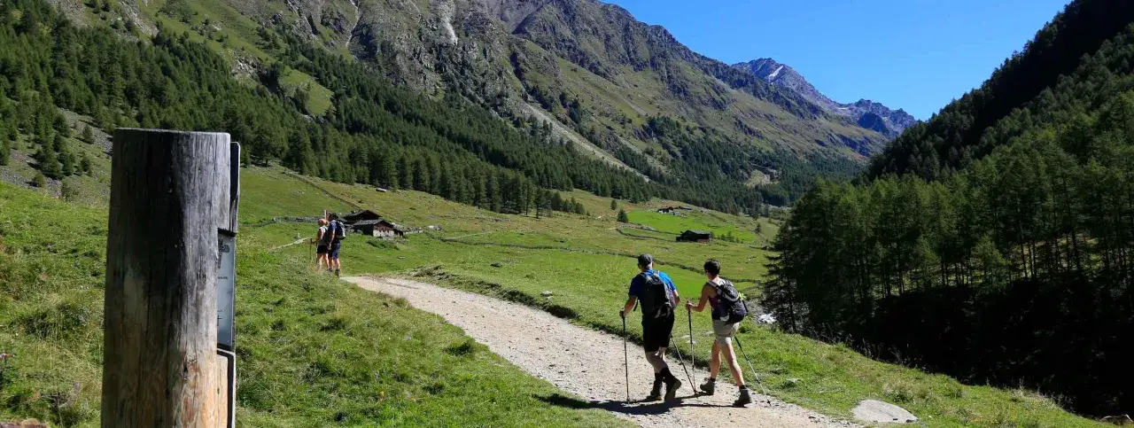 Escursionisti sul sentiero nel Val di Fosse, circondati da verdi pendii boscosi e montagne imponenti.