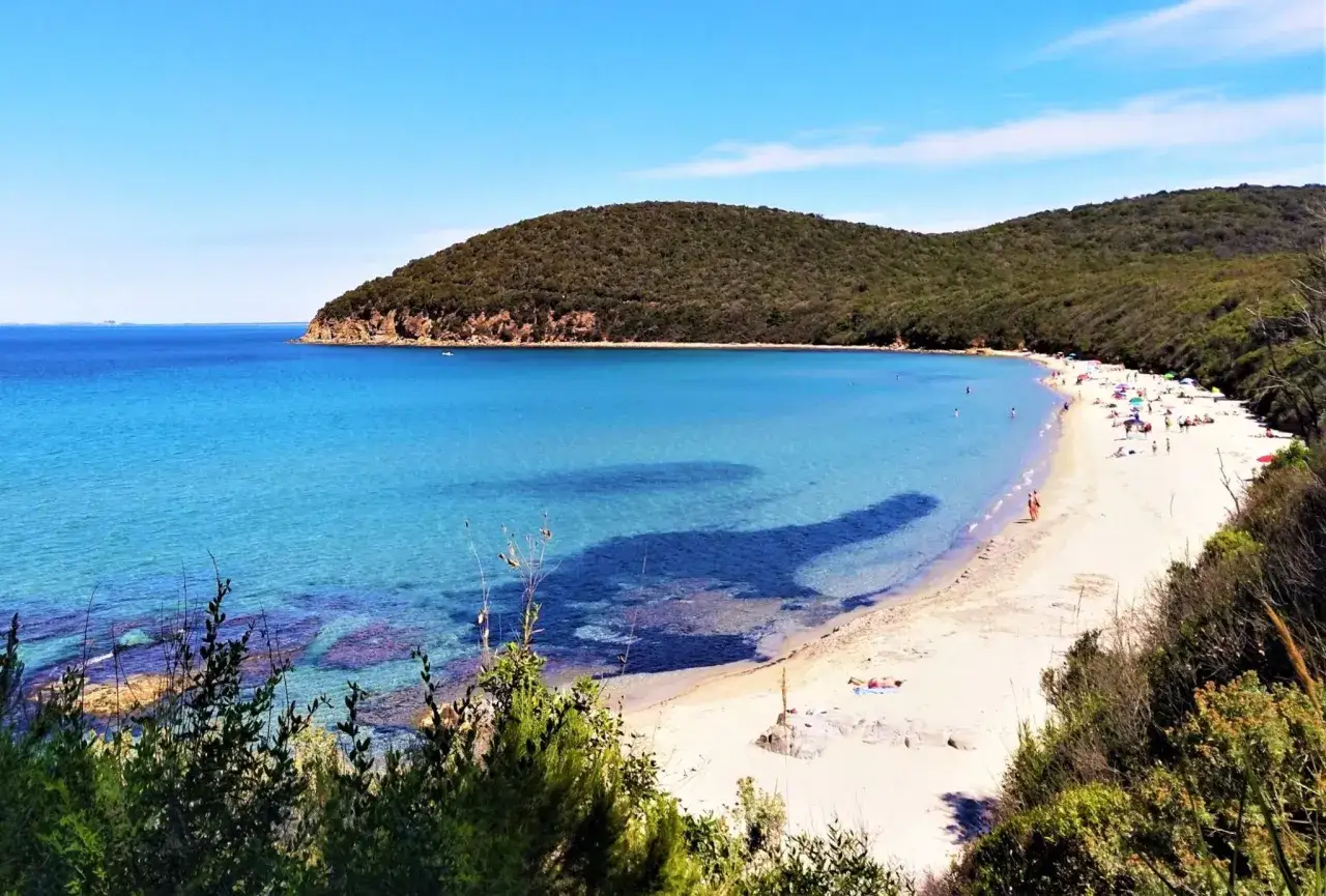 Spiaggia con acque cristalline e collina verdeggiante, un angolo di mare vicino Firenze per rilassarsi al sole.