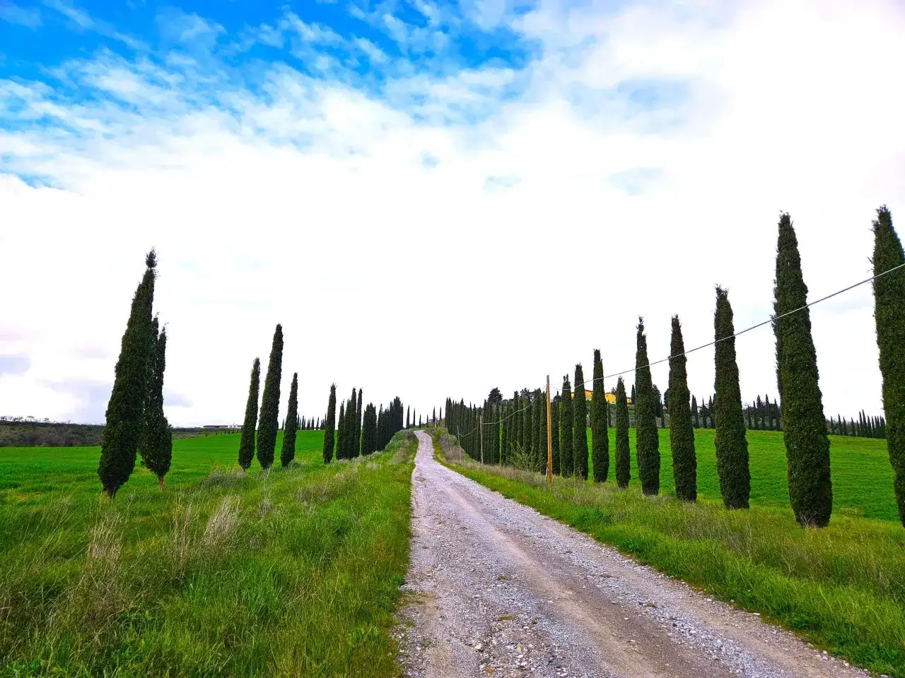 Strada sterrata tra cipressi e campi verdi, ideale per scoprire cosa visitare in Toscana in 2 giorni.